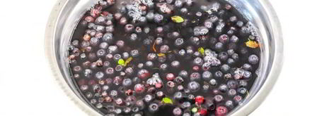 заморозка черники на зиму. Шаг 5