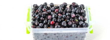 заморозка черники на зиму. Шаг 7