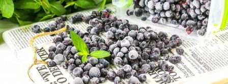 заморозка черники на зиму. Шаг 9