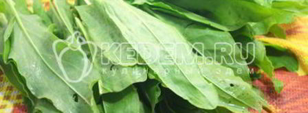 заморозка щавеля на зиму. Шаг 2