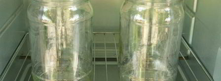 жареные огурцы на зиму. Шаг 10