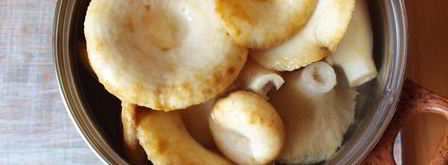 икра из груздей. Шаг 2