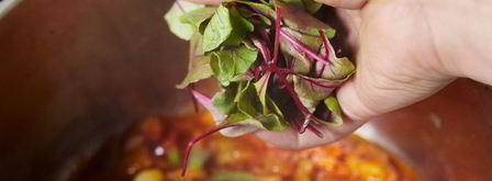 икра из кабачков и баклажана. Шаг 9