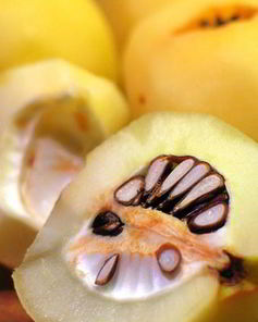 Омлет с айвой