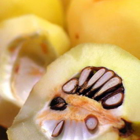 Рецепт омлета с айвой