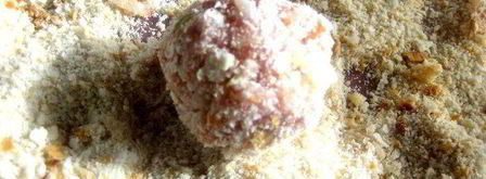 омлет с тефтельками мишка под одеялом. Шаг 10