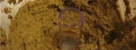 паштет из говяжьей печени в духовке. Шаг 2