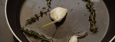 паштет из вяленых томатов и белой фасоли. Шаг 2