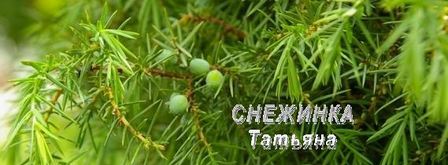 паштет куриный с черникой. Шаг 2