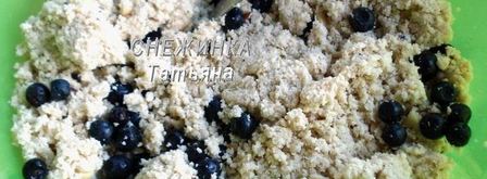 паштет куриный с черникой. Шаг 15