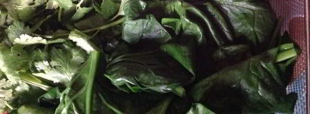 пхали из шпината. Шаг 3