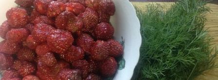 роллы из телятины с клубничным соусом. Шаг 3