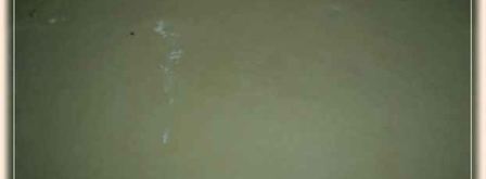 рулет ореховый. Шаг 28