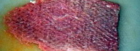 свиные рулетики с грибами и сыром. Шаг 2