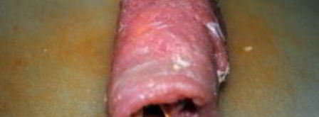 свиные рулетики с грибами и сыром. Шаг 8