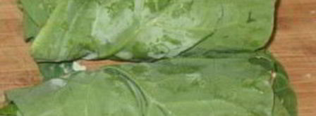 вегетарианские рулетики из листовой капусты. Шаг 4