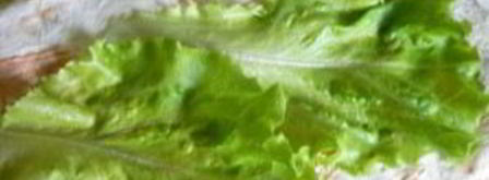 закусочный рулет из лаваша. Шаг 2