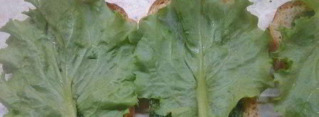 сэндвичи дорожные. Шаг 3