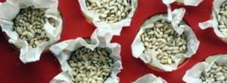 тарталетки с морковью сладкие. Шаг 3