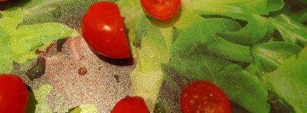 закуска в тарталетках с несладкой начинкой для влюбленных. Шаг 3