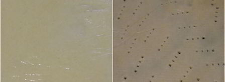 абрикосовый тарт с франжипаном и миндальным крокантом. Шаг 6