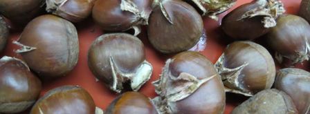 шоколадно-каштановый тарт. Шаг 2