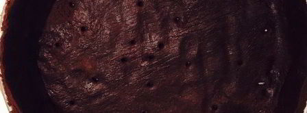 шоколадный тарт. Шаг 8