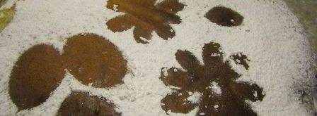 тарт с карамелизированными фруктами и творожным пудингом. Шаг 5