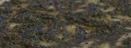 тарт татен с помидорами. Шаг 11