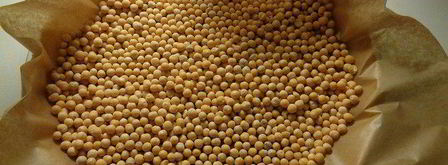 ягодный тарт с ванильным заварным кремом. Шаг 11