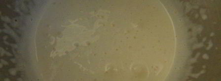 ягодный тарт с ванильным заварным кремом. Шаг 19