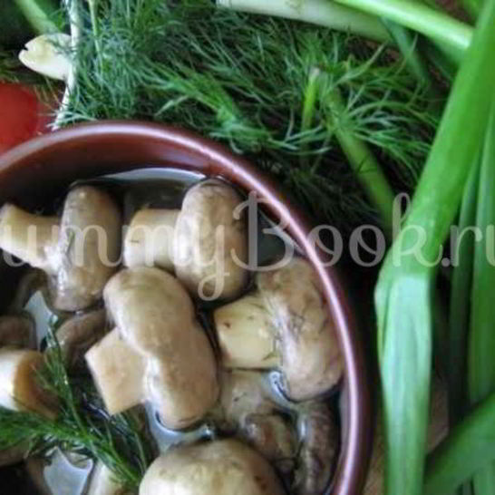 Рецепт закуски из грибов