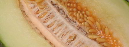 закуска прошутто с дыней и клубникой. Шаг 2