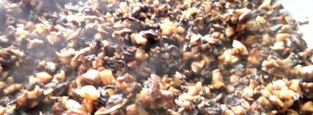 сливочный жульен с ветчиной и грибами. Шаг 9