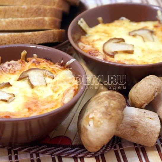 Рецепт жульена из белых грибов