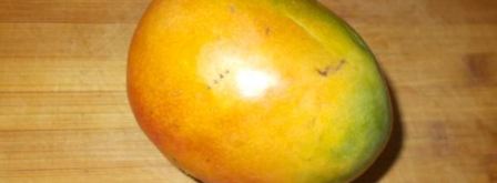 жульен из языка на манговом чатни. Шаг 15