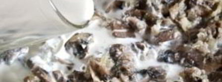 жульен в картофеле. Шаг 7