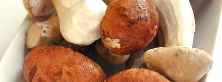 жюльен из лесных грибов. Шаг 3